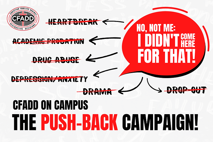 College Chapter Impact Card 6 &times; 4 In